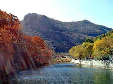 澳门天天开奖免费资料，国珍松花粉怎么样